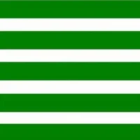 CelticMATCH